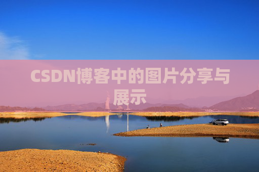CSDN博客中的图片分享与展示